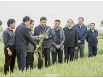 以改革创新精神谱写“中国梦”的文化篇章（治国理政新思想新实践）